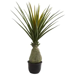 62” Pandanus Aloe Artificial Plant