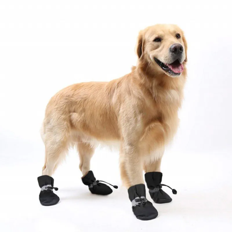 Funki Buys | Dog Boots | Pet Dog Shoes | Dog Cat Anti-Slip Boot