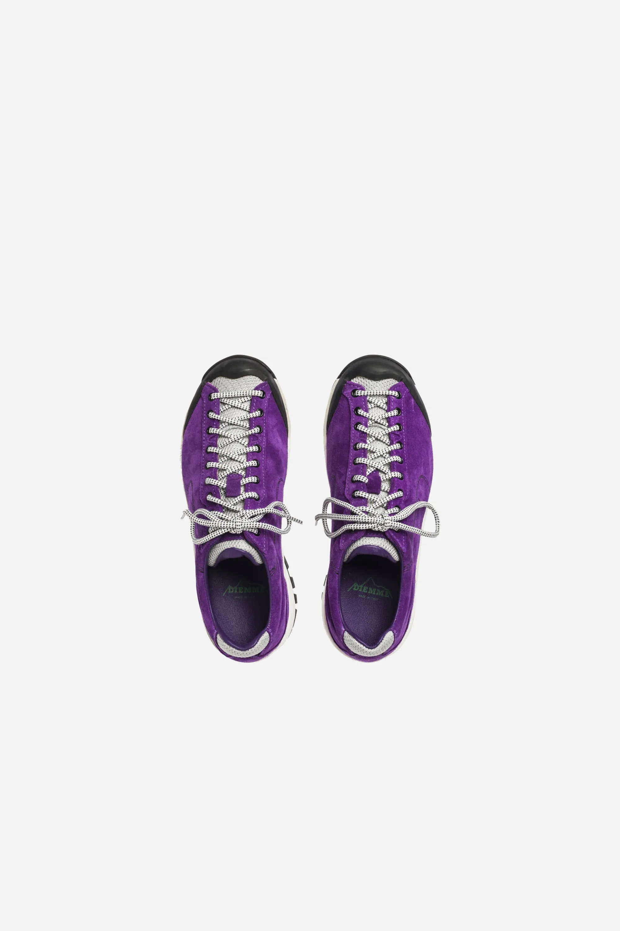 Movida Purple/White