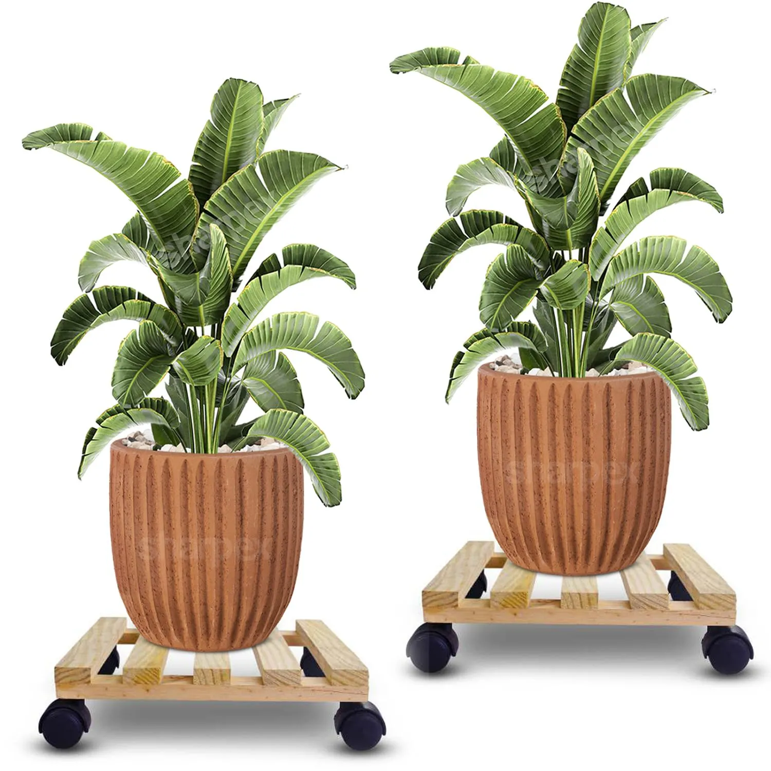 Sharpex Pack of 2 Wooden Trolley for Plants, Flower Pots | Heavy Duty Rolling Plant Stand with Locking Wheels | Squre Plant Roller Base for Indoor Patio Outdoor Potted Planter (Beige)